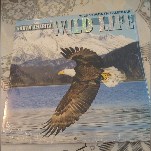 North America Wild Life 12*12" Wall Calendar 2023 Eagle Flying on Cover - Picture 2 of 5